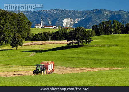
                Landwirtschaft, Bayern, Ainring                   