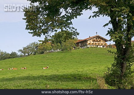 
                Bauernhof, Bauernhaus, Oberbayern, Viehweide, Berchtesgadener Land                   