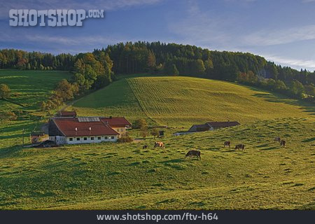 
                Bauernhof, Bayern, Ruhpolding                   