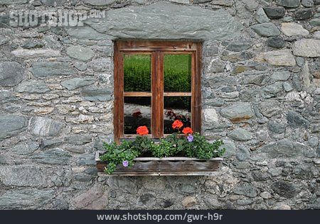 
                Fenster, Blumenkasten                   