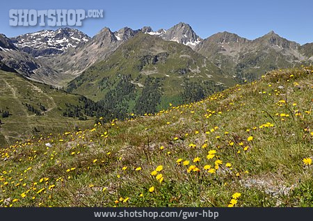 
                Stubaier Alpen, Kühtai Berge                   