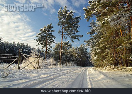 
                Winter, Waldweg, Winterlich                   