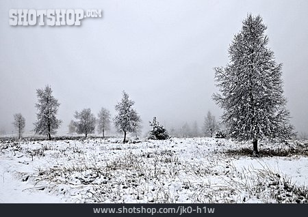 
                Winterlandschaft, Verschneit                   