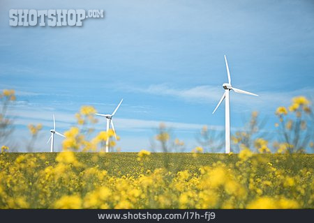 
                Windenergie, Alternative Energie                   