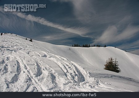 
                Winter Landscape, Snow Track                   