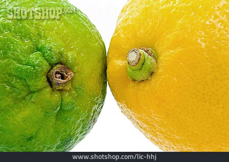 
                Zitrusfrucht, Limette, Zitrone                   