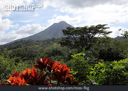 
                Vulkan, Vegetation, Costa Rica, Arenal                   