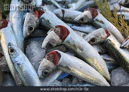 
                Speisefisch, Sardine, Fischstand                   