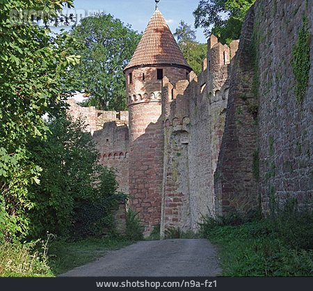 
                Burg Wertheim                   