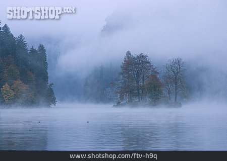 
                See, Nebel, Königssee                   