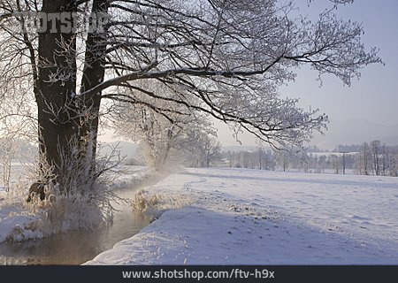 
                Bach, Winter, Winterlandschaft                   