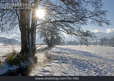 
                Bach, Winter, Winterlandschaft, Wintersonne                   