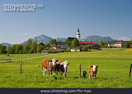 
                Berchtesgadener Land, Weildorf                   