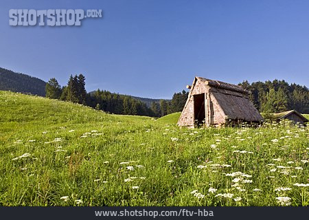 
                Holzhütte, Alm                   