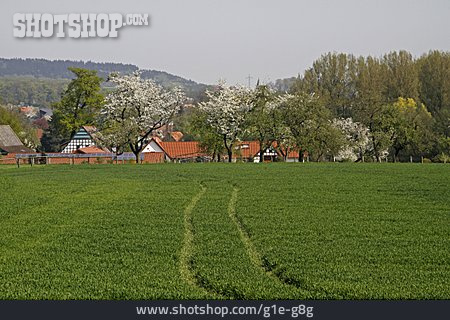 
                Dorf, Niedersachsen, Osnabrücker Land, Hagen Am Teutoburger Wald, Hagen                   