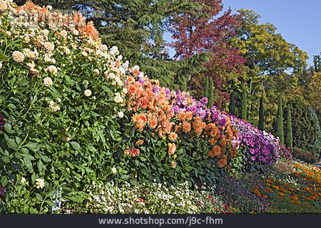 
                Gartenanlage, Blumenbeet                   