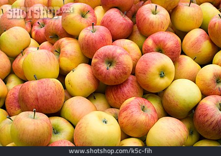 
                Obst, Apfel, Apfelernte                   