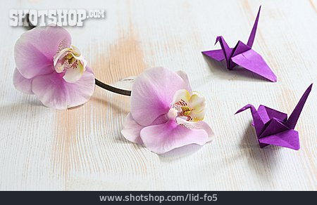 
                Orchidee, Origami, Papierfaltkunst, Papierkranich                   