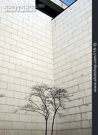 
                Baum, Fassade                   