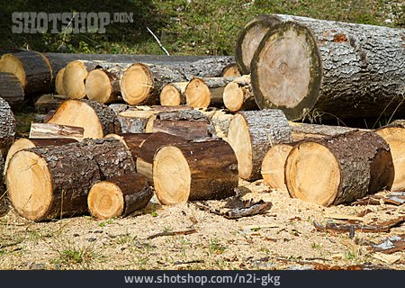 
                Holz, Forstwirtschaft, Waldarbeit                   