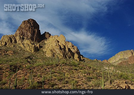 
                Wüste, Arizona                   