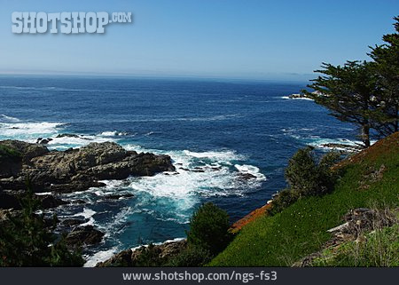 
                Kalifornien, Pazifik, Monterey                   