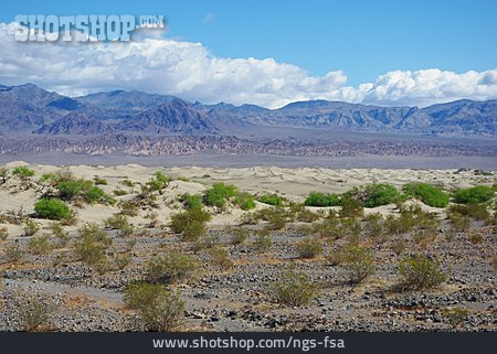 
                Wüste, Death Valley                   