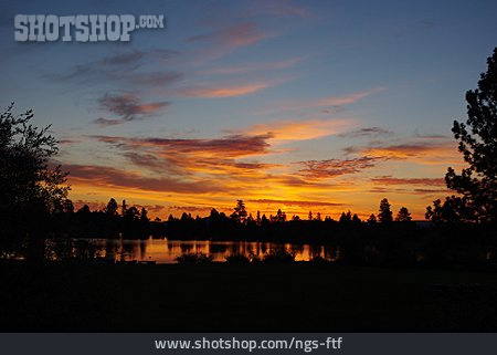 
                Sonnenuntergang, Ashley National Forest                   