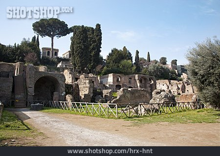 
                Forum Romanum                   