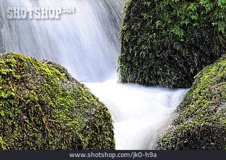 
                Wasserfall, Moos                   