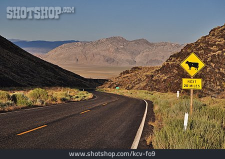 
                Nevada, Highway, Wildwechsel                   