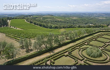 
                Parkanlage, Toskana, Weinanbaugebiet, Gaiole In Chianti                   