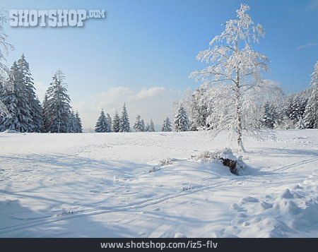 
                Winterlandschaft, Schwarzwald, Spur                   