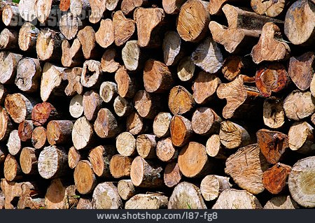 
                Wood, Wood Pile                   