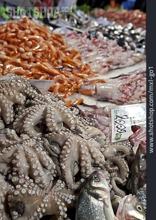 
                Meeresfrüchte, Octopus                   