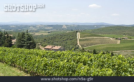 
                Toskana, Weinanbaugebiet, Weingegend, Chianti                   