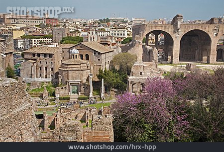 
                Ruine, Rom, Forum Romanum                   