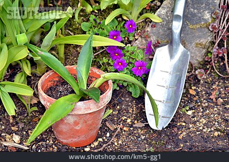 
                Gartenarbeit, Pflanzen, Blumentopf                   