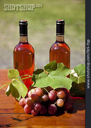 
                Weinblatt, Weinflasche, Rote Weintraube                   