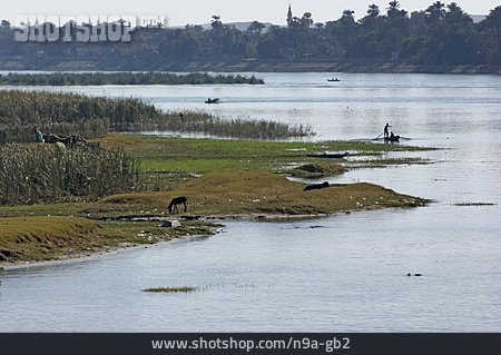 
                Flusslandschaft, ägypten, Nil                   