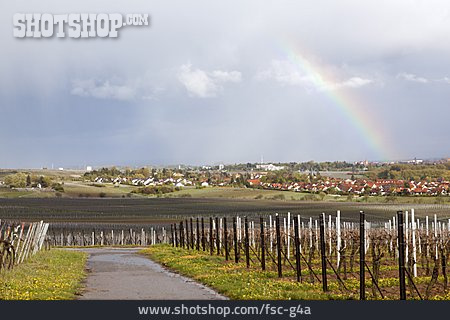
                Regenbogen, Weinanbaugebiet, Südpfalz                   