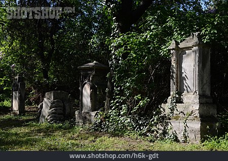 
                Friedhof, Verwachsen, Grabstein                   
