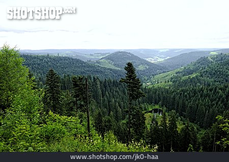 
                Nadelwald, Aussicht, Hochmoor, Schwarzwaldhochstraße                   