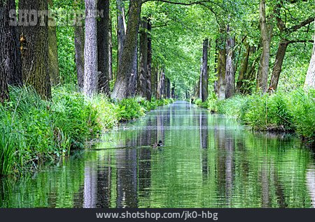 
                Fluss, Spreewald, Flusslauf, Biosphärenreservat Spreewald                   