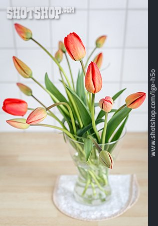 
                Blumenstrauß, Tulpenstrauß, Blumenvase                   
