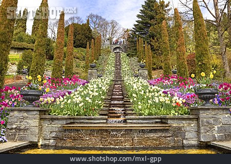 
                Schlosspark, Wassertreppe, Blumeninsel                   