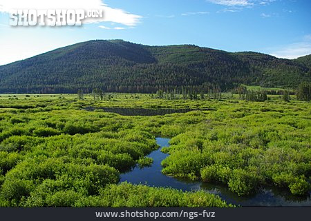 
                Landschaft, Idaho, Salmon Challis National Forest                   