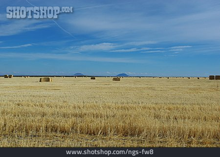 
                Landwirtschaft, Stoppelfeld, Idaho                   