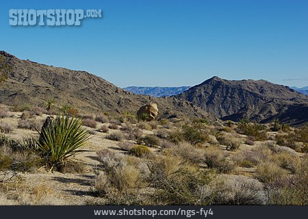 
                Wüste, Death Valley, Nevada                   