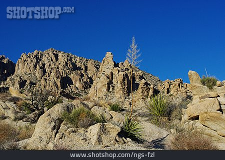 
                Wüste, Nevada, Christmas Tree Pass                   